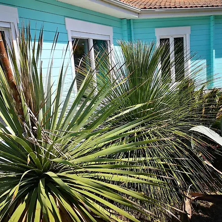 Maison En Bois Atypique Audenge