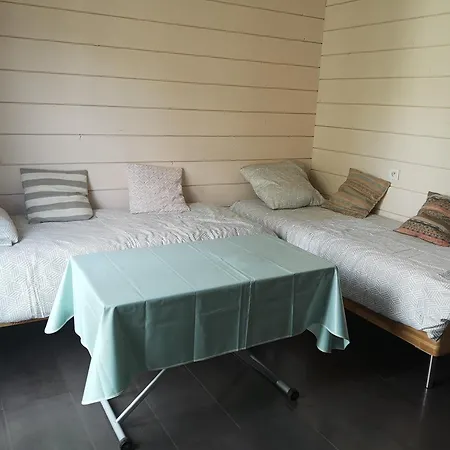 Maison En Bois Atypique